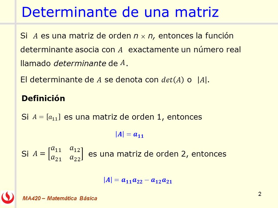 ¿Qué es el determinante de una matriz PDF?
