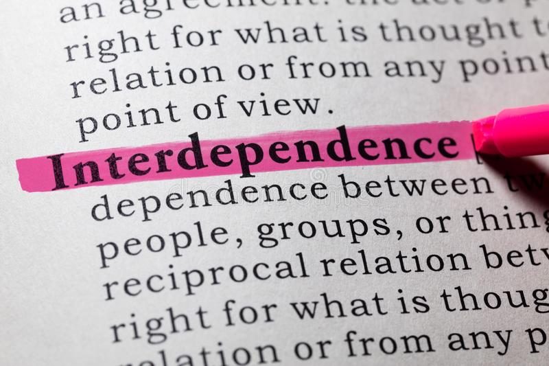 ¿Cómo definir interdependencia?