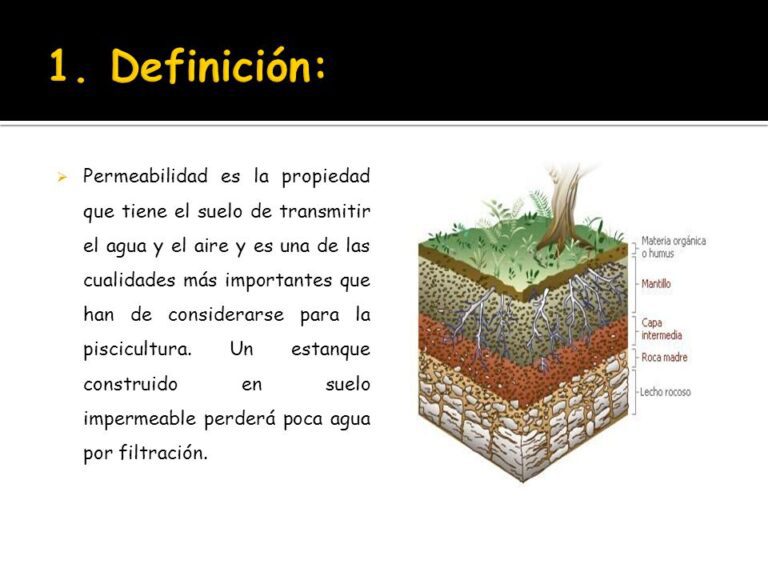 Definición de Permeabilidad » Qué es, Significado y Concepto