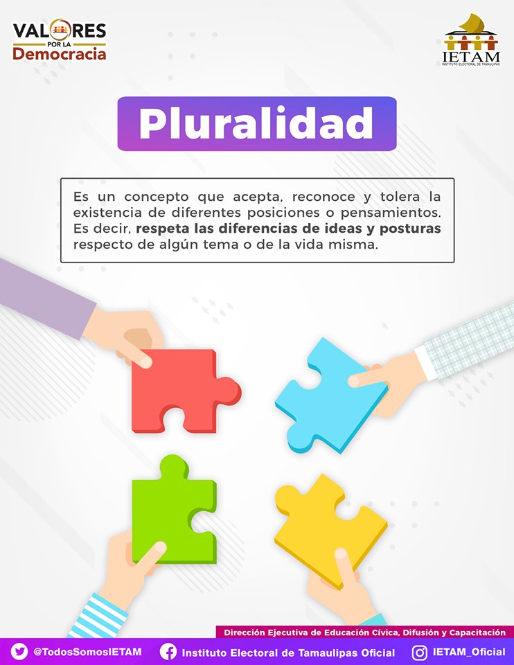 ¿Cuál es el concepto de pluralidad?