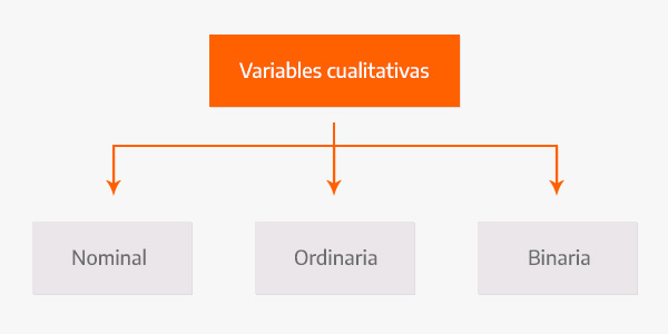 ¿Qué significa la variable cualitativa?