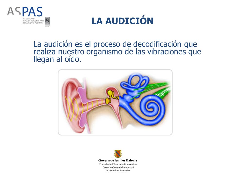 ¿Cuál es el concepto de audición?