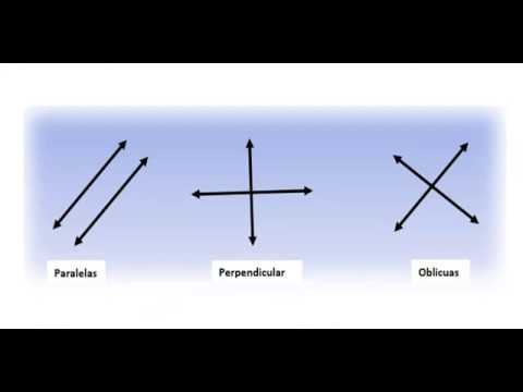 ¿Qué son rectas perpendiculares y oblicuas?